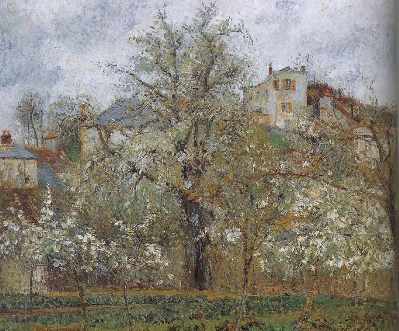 Camille Pissarro spring flowering gardens and trees Norge oil painting art
